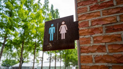 The debate over whether men should be allowed in women’s restrooms moves to Capitol Hill, but is corrupted by our confusion over marriage.